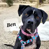Ben