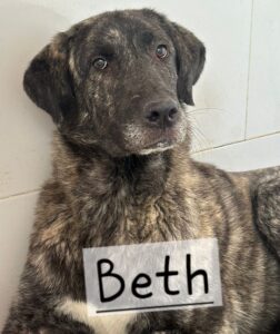 Beth