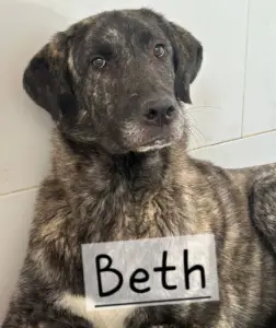 Beth