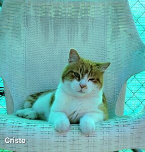Cristo