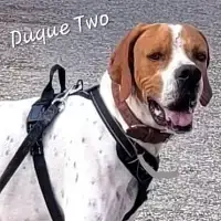 Duque Two