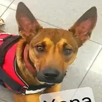 Xena