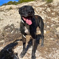 Gaspar